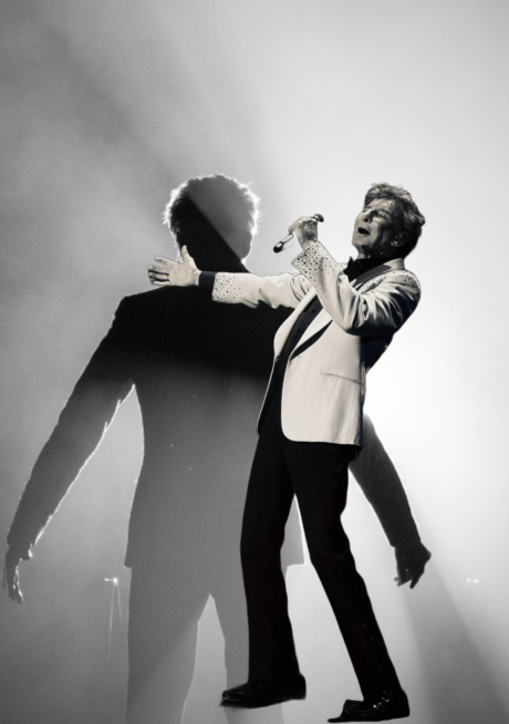 Barry Manilow classic portrait